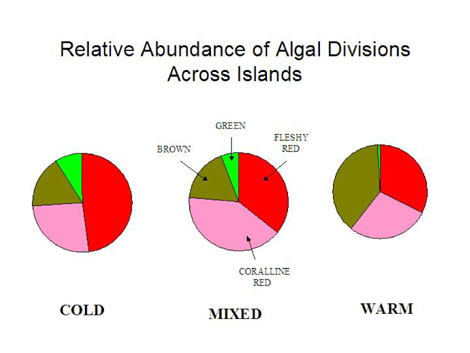 Algae pie graph