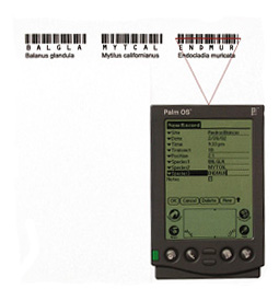 Palm pilot and barcodes