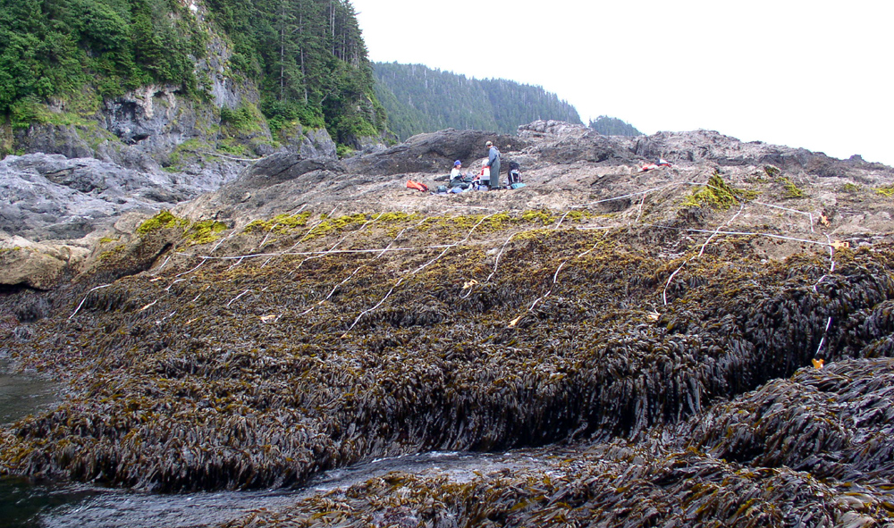 Coronation Island, Alaska