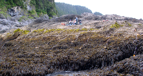Coronation Isl, Alaska