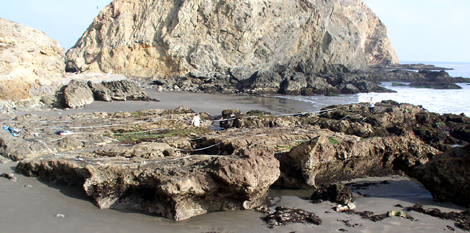 Frenchy's Cove