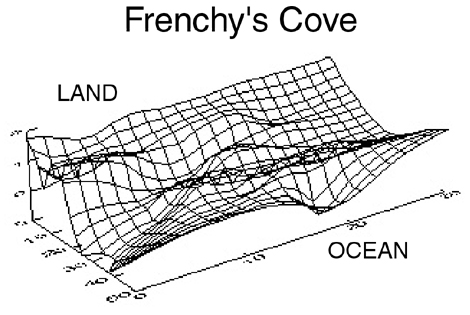 Frenchy's