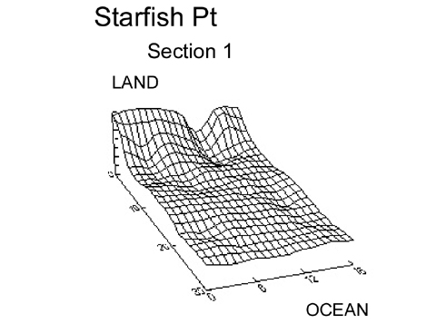 Starfish Pt 
			section 1