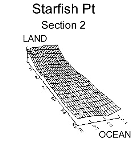 Starfish Pt section 2